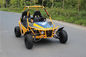 Single Cylinder 4 Stroke 150cc Go Kart Buggy Off Road Go Kart 2 Wheel Drive