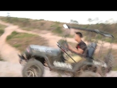 300 куб. см 2WD картинг