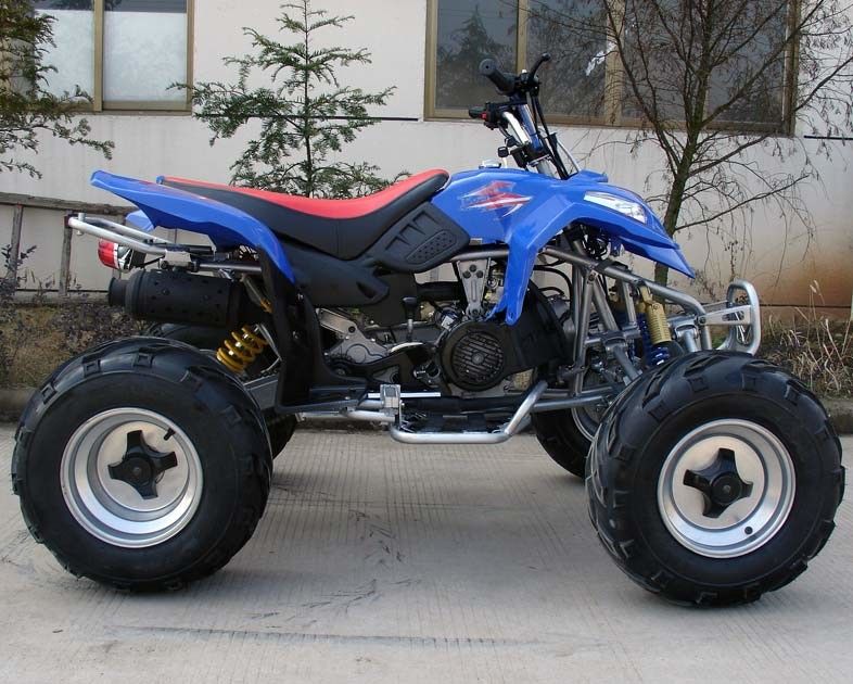 Дополнительное крупноразмерное 10