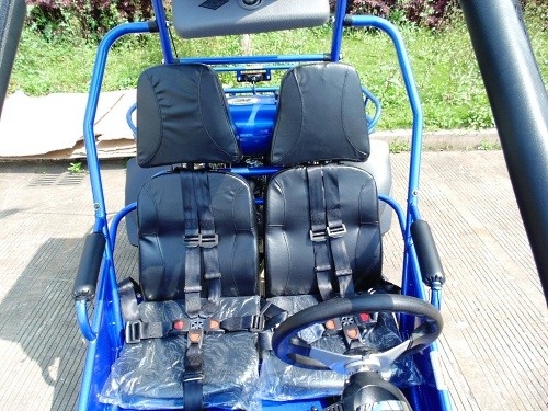 Зажигание 17,4 CDI HP 2,25 Gal 300cc CVT EFI идет багги Kart