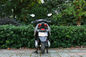 Luxury Adult Scooter Electric Moped Bike 800w High Power With Two Wheel